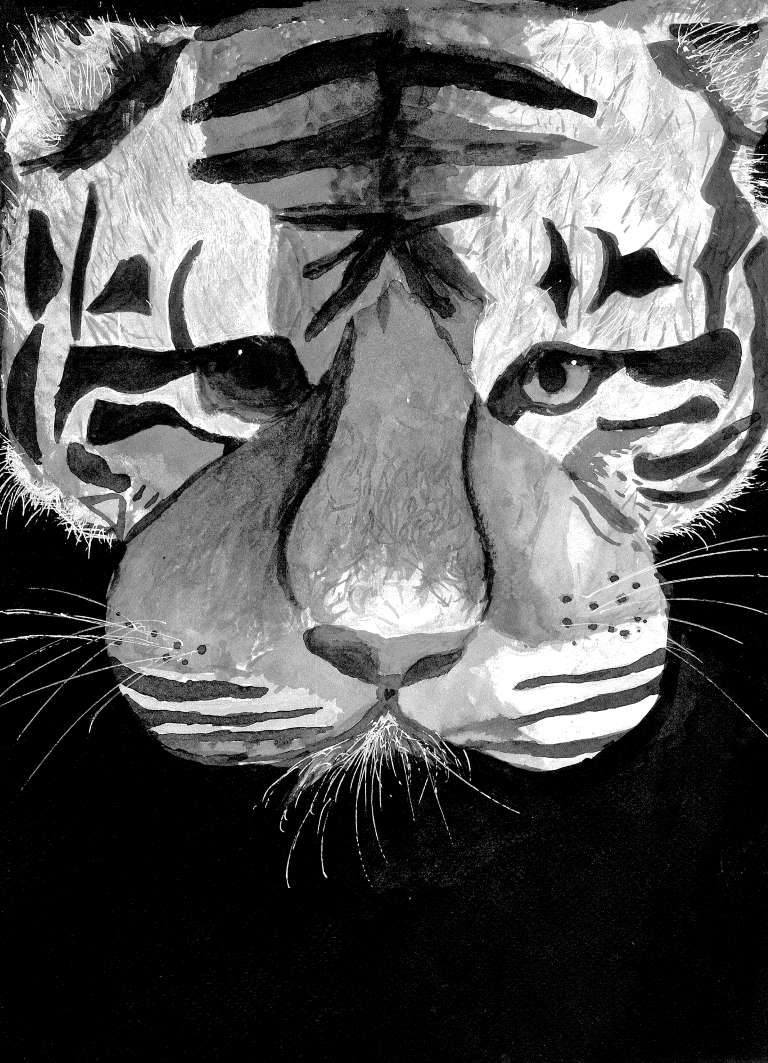 Student artwork of a tiger's face using black ink and white markers