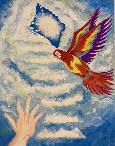 Student artwork of a brightly coloured parrot flying high in the blue sky, surrounded by white fluffy clouds. The sun can be seen peeking through the clouds at the top of the artwork. A hand appears in the bottom left corner of the artwork reaching for the bird.