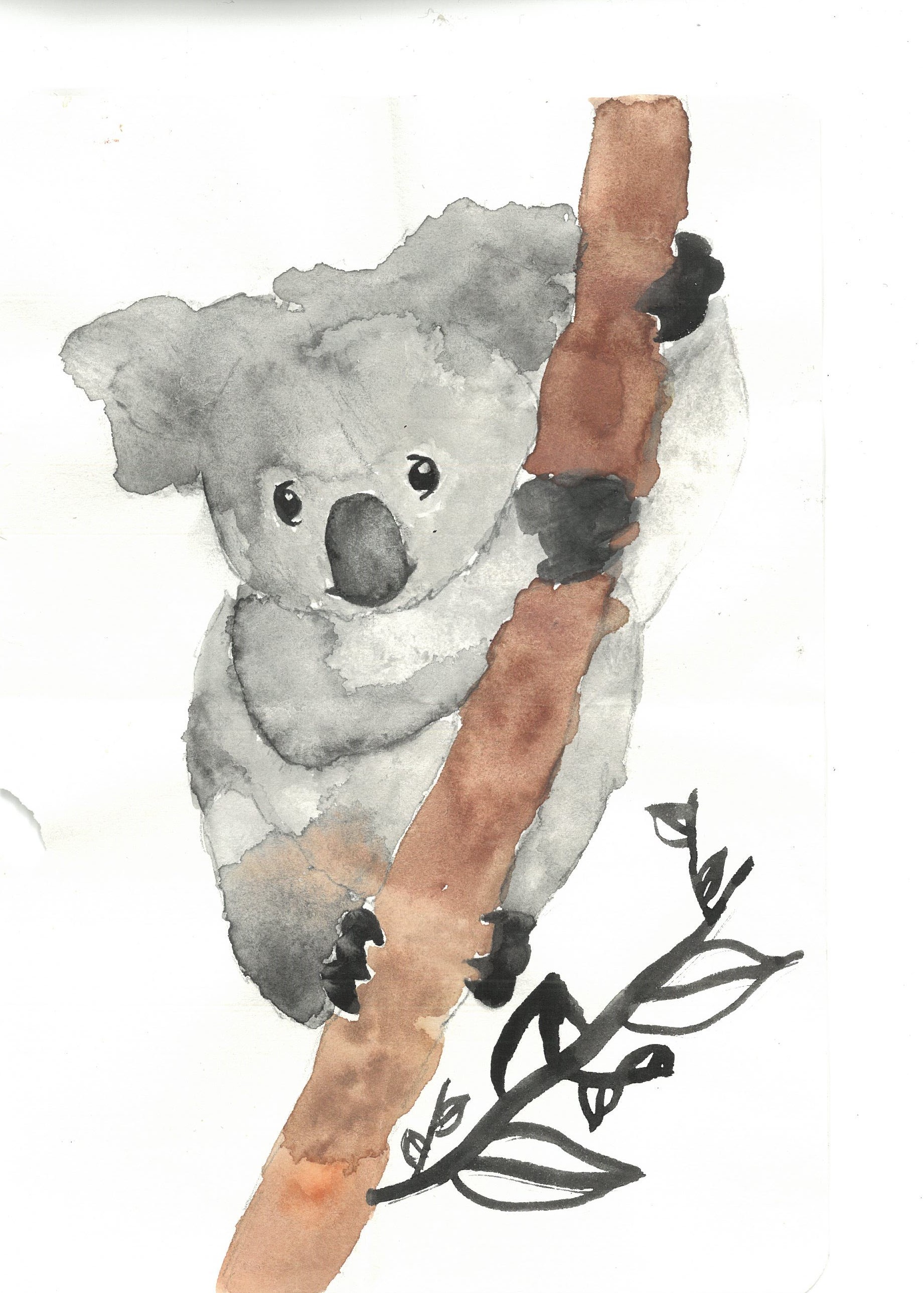 Watercolour painting of a koala on a brown tree branch.