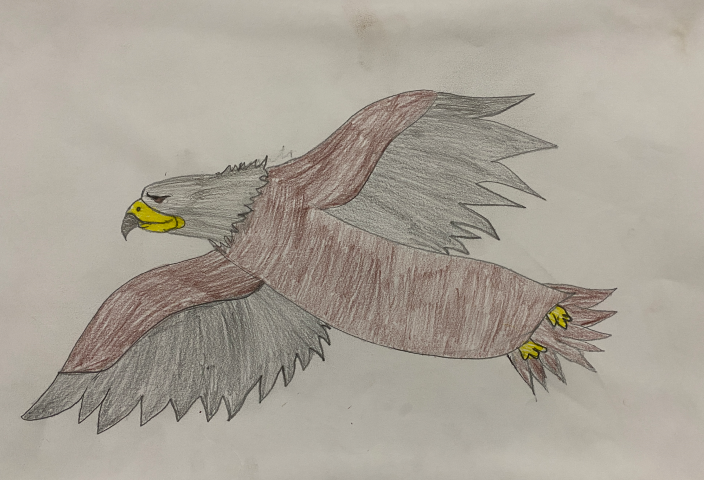 pencil drawing of an eagle in flight