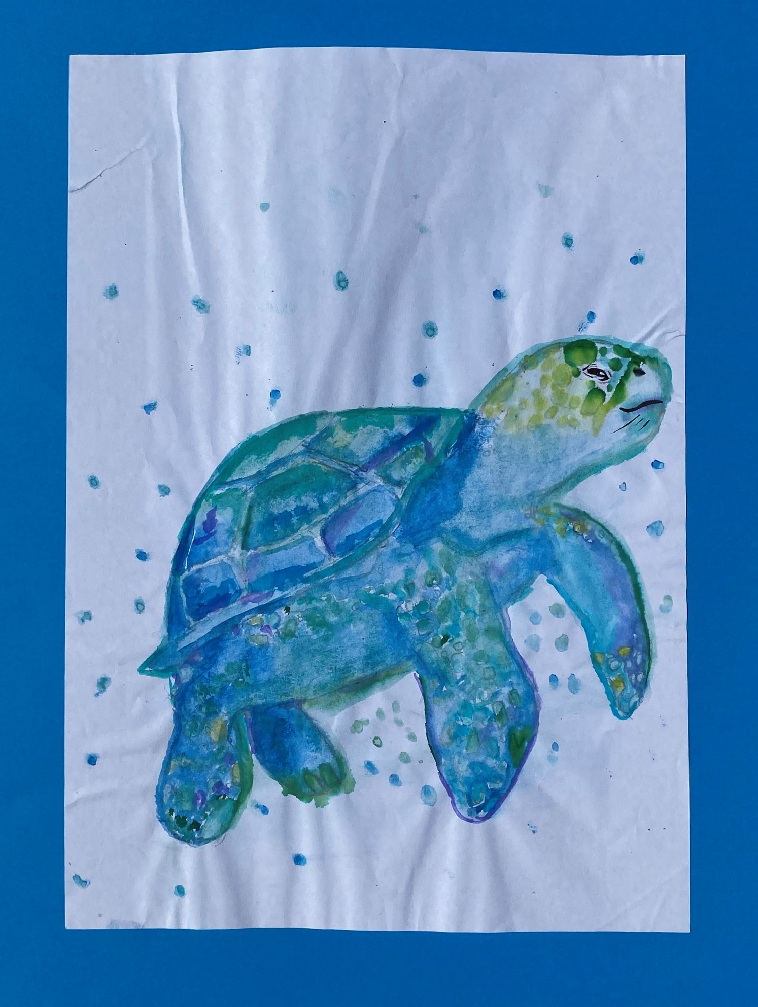 student artwork - turtle