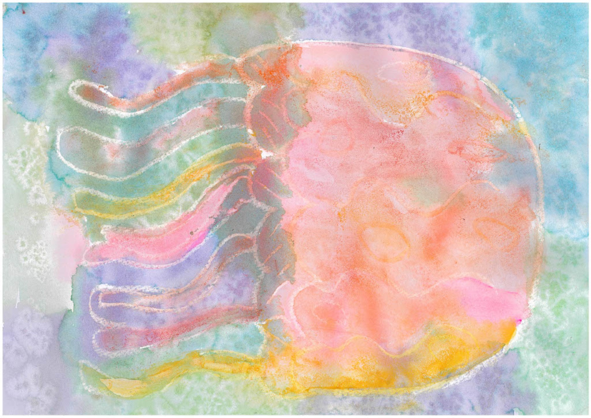 student artwork - Jellyfish