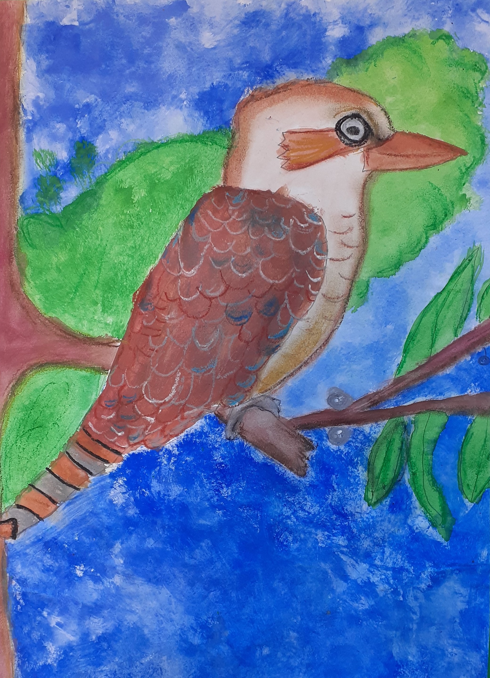 Student artwork - The Kookaburra