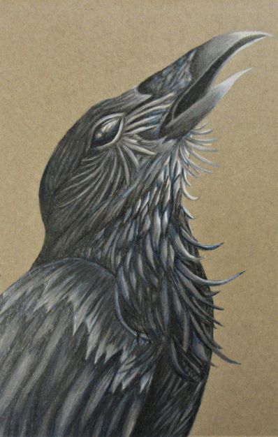 Student artwork - Night Bird