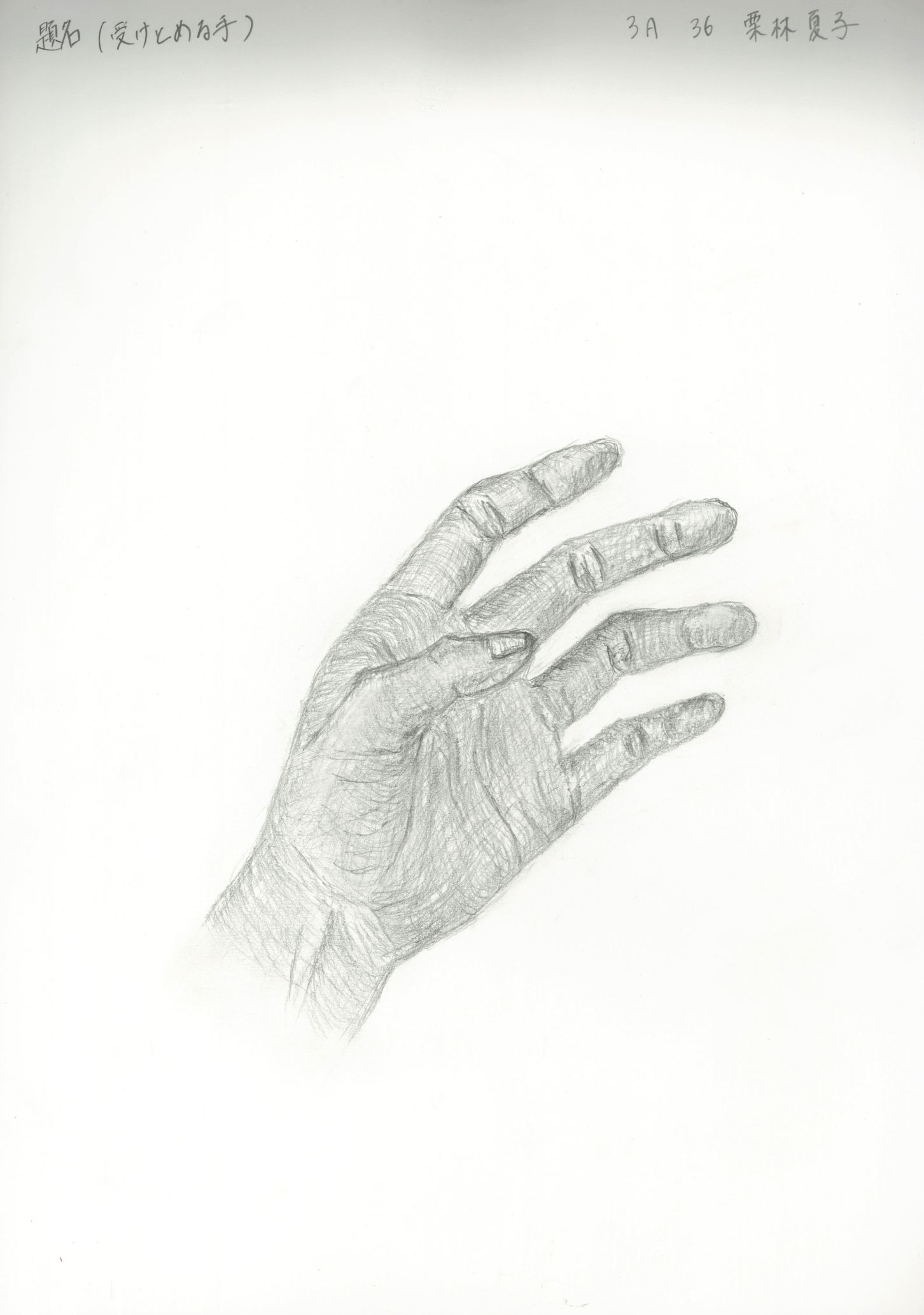 Student artwork – Hand to catch