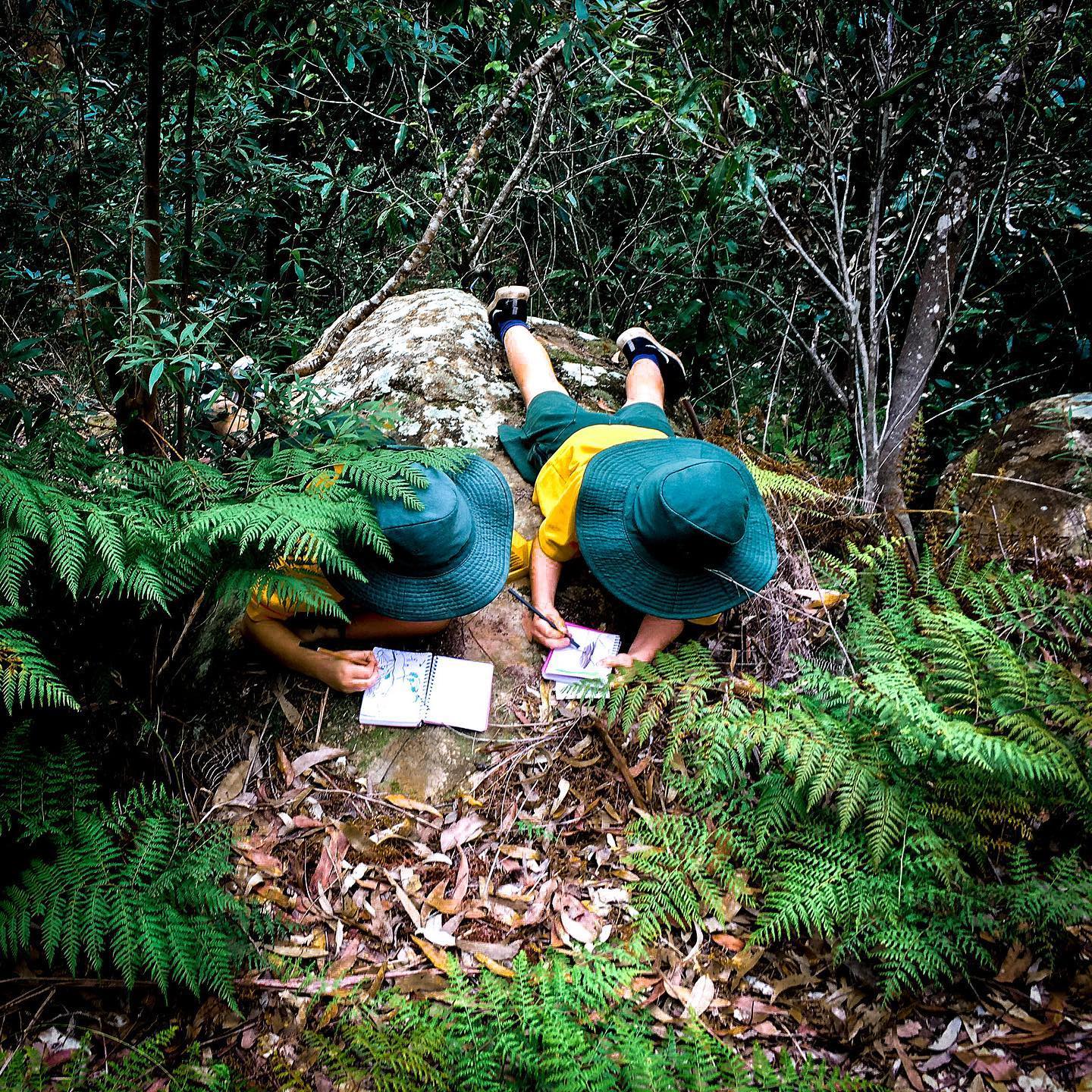 students sketching in the bush