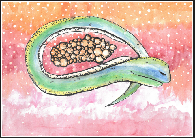 image of a green eel curled up protecting its eggs on a watercolour background of orange and pink