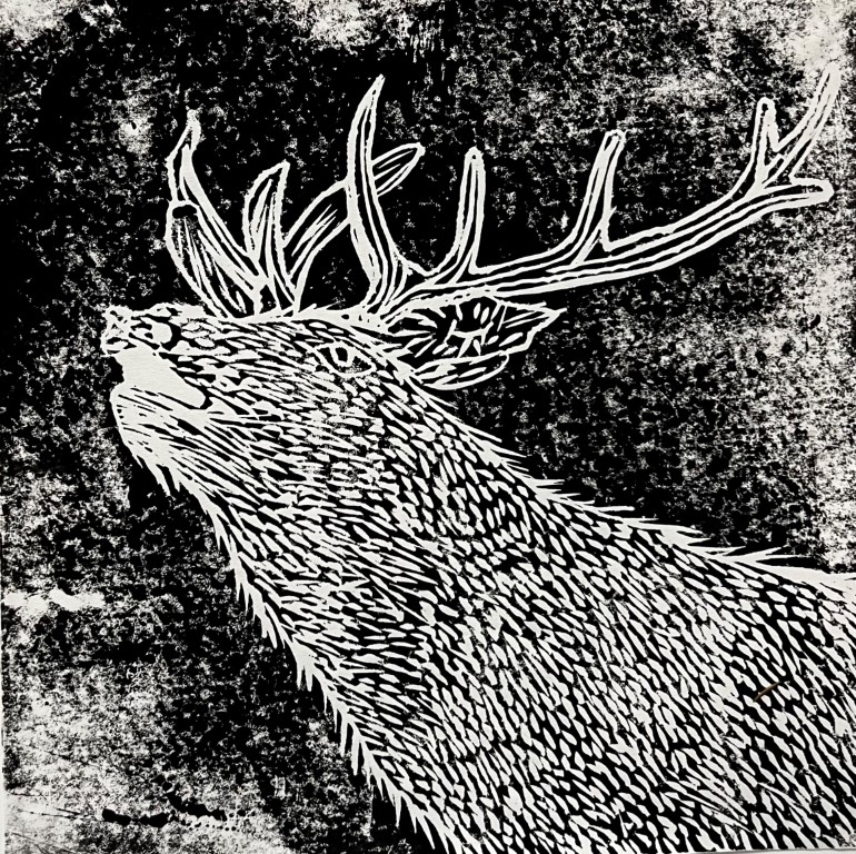lino print of a buck in black and white