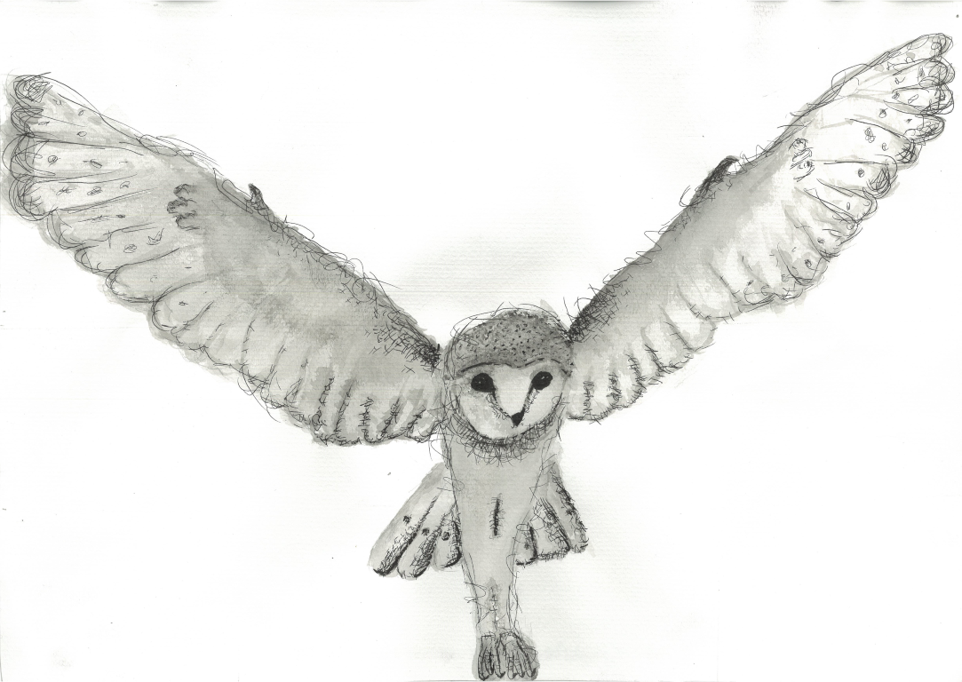 A detailed watercolour study of a white owl in flight 