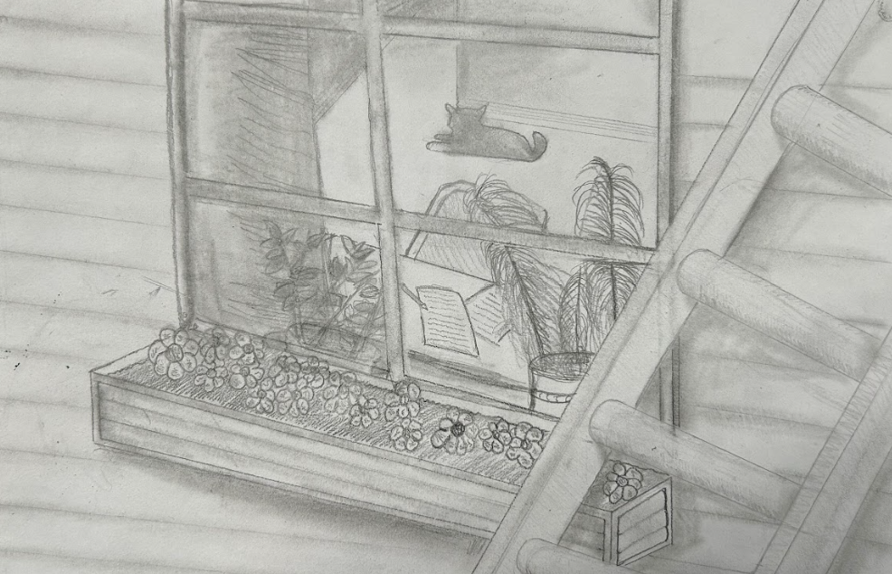 pencil drawing of an office window with a flower pot on the ledge and a ladder leaning against the side of the house