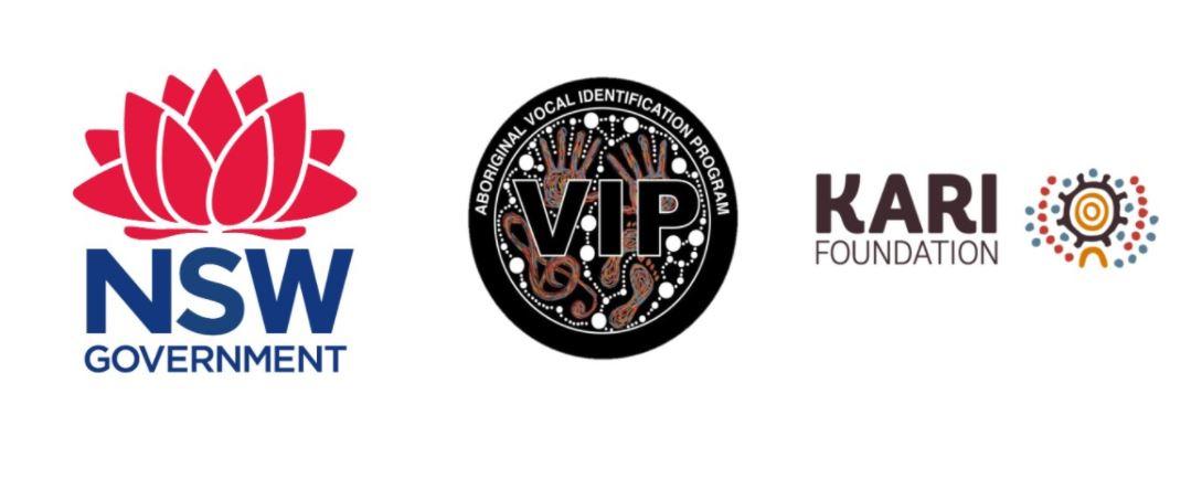 Department of Education, Kari Foundation and VIP logo