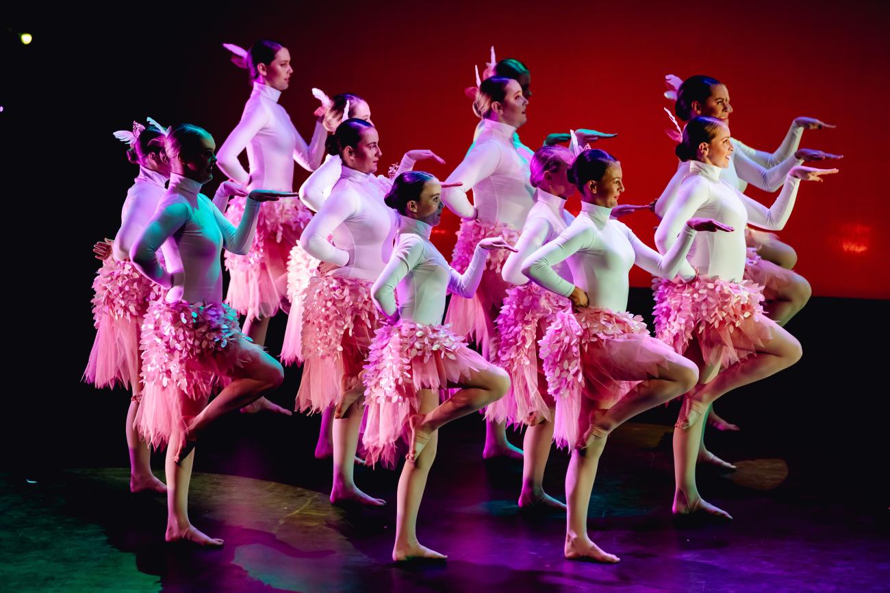 students in a group facing to right dresses as flamingoes with white tops and pink fluffy skirts