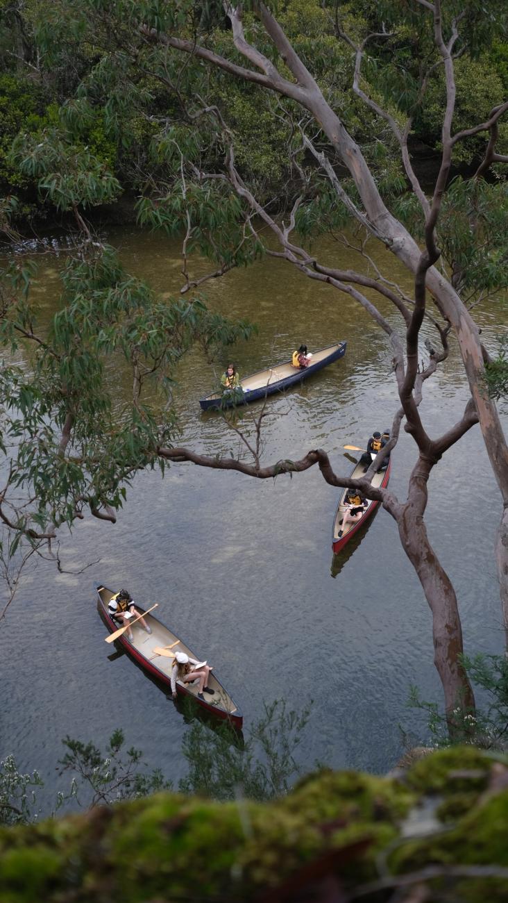 Photo looking from above through bush canopy at students drawing in canoes while floating down creek
