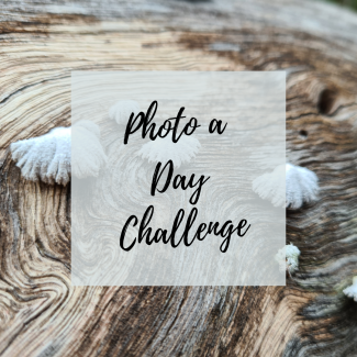 photo a day challenge