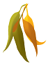 Macquarie Dictionary logo - 4 gum leaves