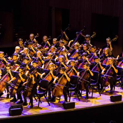 cellos performing on stage