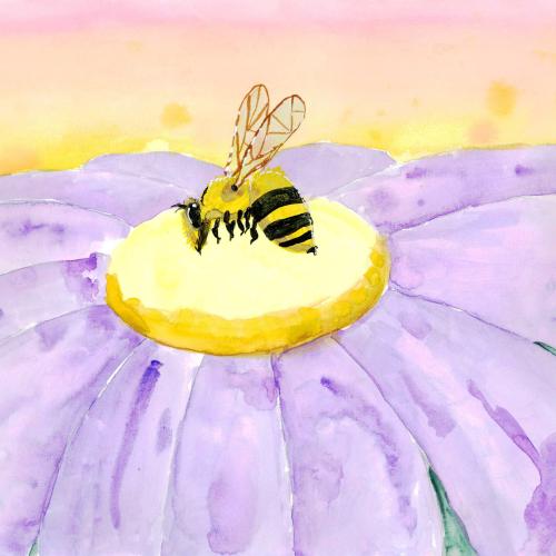 A bee on a purple flower with a yellow centre, set against a soft pastel sky.