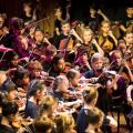 Young peopl in an ensemble of stringed instruments.