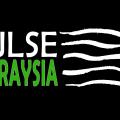 Pulse Sunraysia