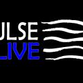 Pulse Alive logo